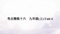 课标版中考英语复习考点精练十六九年级(上)Unit4作业课件