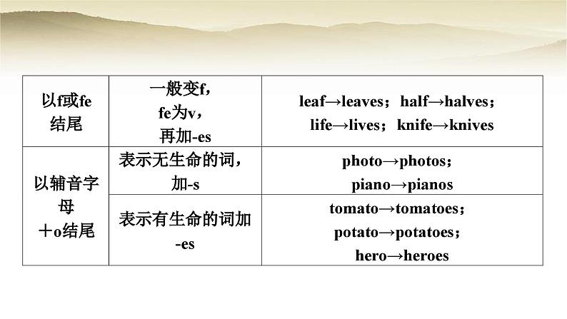 课标版中考英语复习专题突破一名词教学课件第8页