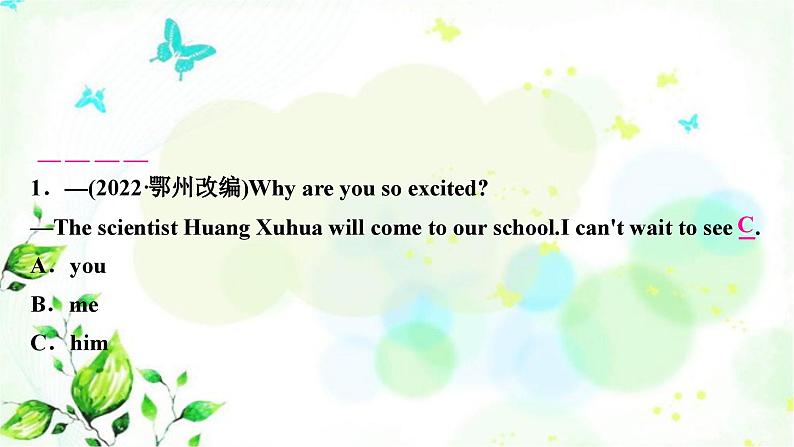 人教版中考英语复习专题突破二代词教学课件08