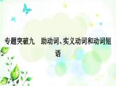 人教版中考英语复习专题突破九助动词、实义动词和动词短语教学课件