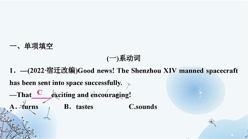 人教版中考英语复习专题突破八系动词和情态动词作业课件02