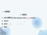 人教版中考英语复习专题突破九助动词、实义动词和动词短语作业课件