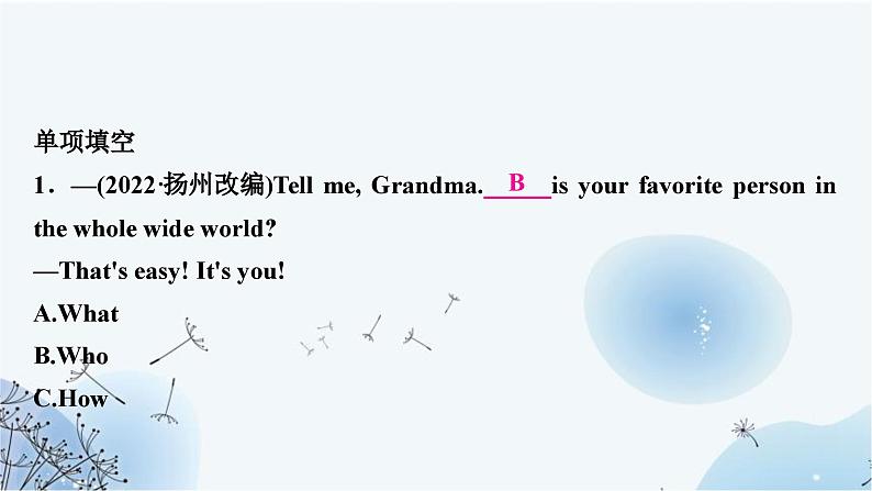 人教版中考英语复习专题突破十二简单句作业课件02