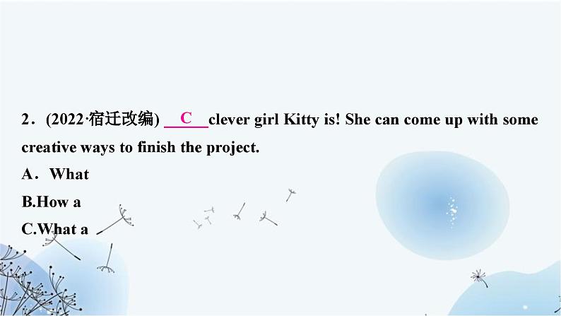 人教版中考英语复习专题突破十二简单句作业课件03