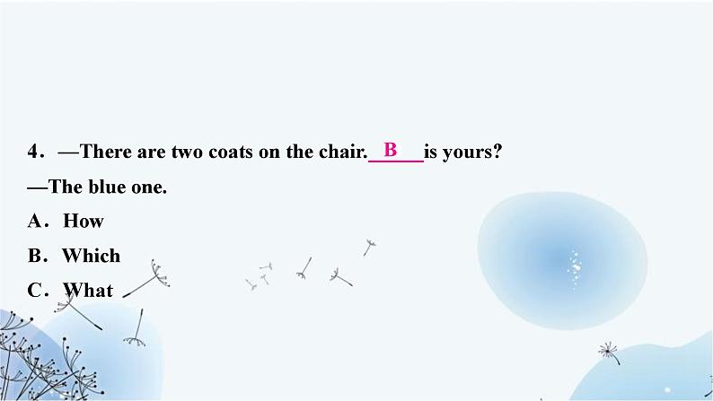 人教版中考英语复习专题突破十二简单句作业课件05