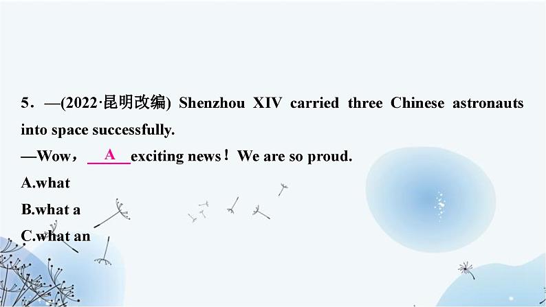 人教版中考英语复习专题突破十二简单句作业课件06