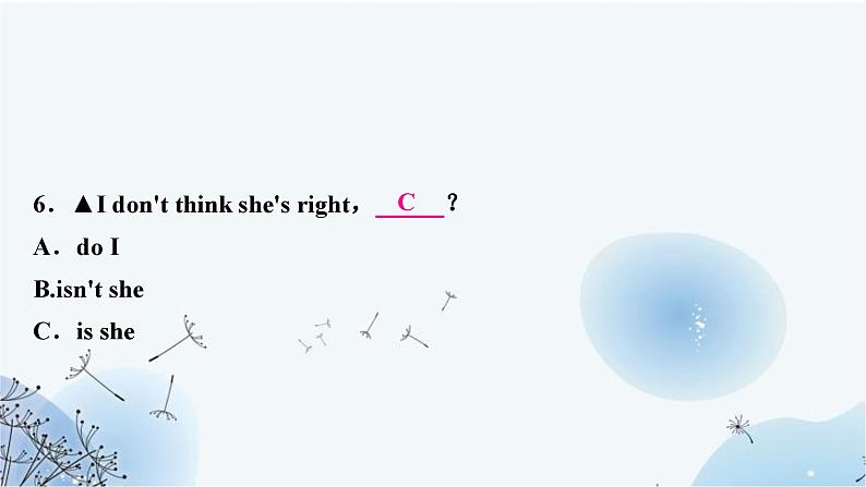 人教版中考英语复习专题突破十二简单句作业课件07