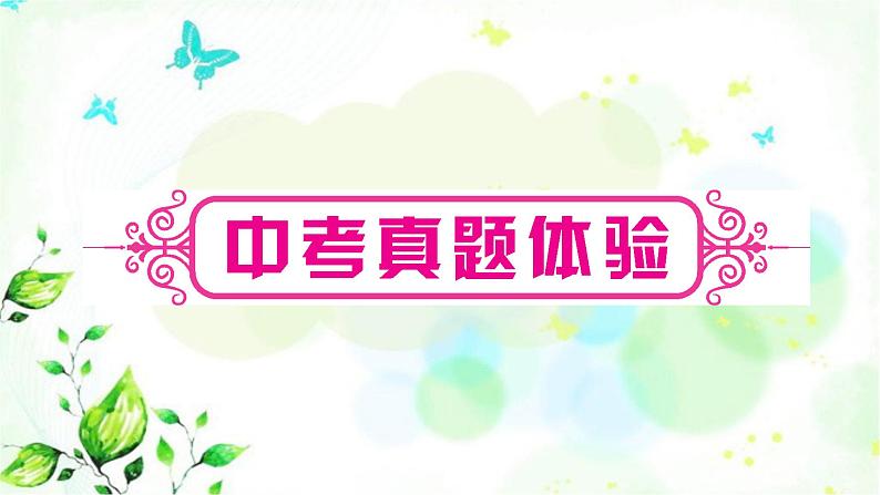 人教版中考英语复习题型专题五摘录要点教学课件04