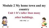 外研版 (新标准)八年级上册Unit 1 It's taller than many other buildings.图片ppt课件