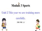 Module 3 Nothing is more enjoyable than playing tennis Unit 2（课件+素材） 2023-2024学年外研版英语八年级上册