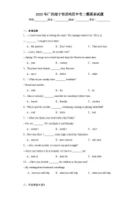 2023年广西南宁市武鸣区中考二模英语试题（含解析）