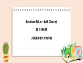 人教版英语九年级下册Unit 14 Section B （3a-Self Check ）（第5课时） 课件+教案+练习