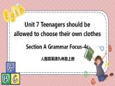 人教版英语九年级上册Unit 7  Teenagers should be allowed to choose their own clothes. Section A Grammar Focus-4c课件