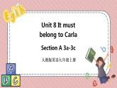 人教版英语九年级上册Unit 8 It must belong to Carla Section A 3a-3c课件+音频