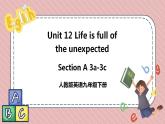 人教版英语九年级下册Unit 12 Life is full of the unexpected. Section A 3a-3c 课件+音频素材