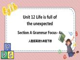 人教版英语九年级下册Unit 12 Life is full of the unexpected. Section A Grammar Focus-4c 课件
