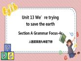 人教版英语九年级下册Unit 13 We’re trying to save the earth Section A Grammar Focus-4c 课件