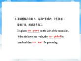 人教版英语九年级上册Unit 5 Section A Grammar Focus-4c 课件+教案