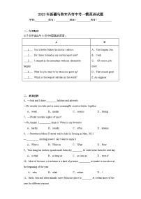 2023年新疆乌鲁木齐市中考一模英语试题（含解析）