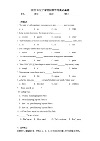 2023年辽宁省沈阳市中考英语真题（含解析）