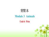上海教育版英语八年级下册Module 3  Animals Unit6 Pets课件