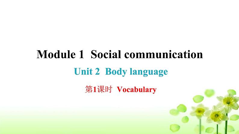 上海教育版英语八年级下册Module 1 Unit 2 第1课时Vocabulary课后作业课件第1页