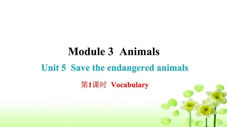 上海教育版英语八年级下册Module 3 Unit 5 第1课时Vocabulary课后作业课件第1页