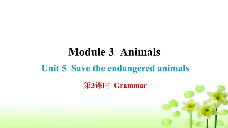 上海教育版英语八年级下册Module 3 Unit 5 第3课时Grammar课后作业课件第1页