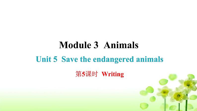 上海教育版英语八年级下册Module 3 Unit 5 第5课时Writing课后作业课件第1页