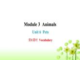 上海教育版英语八年级下册Module 3 Unit 6 第1课时Vocabulary课后作业课件