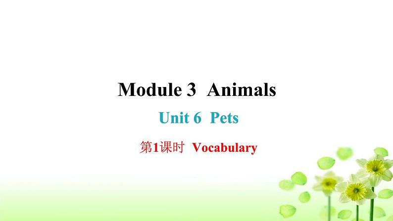 上海教育版英语八年级下册Module 3 Unit 6 第1课时Vocabulary课后作业课件第1页