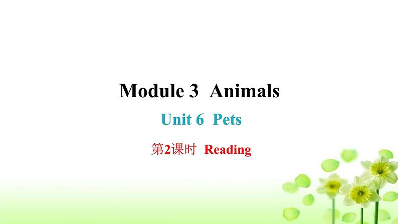 上海教育版英语八年级下册Module 3 Unit 6 第2课时Reading课后作业课件第1页