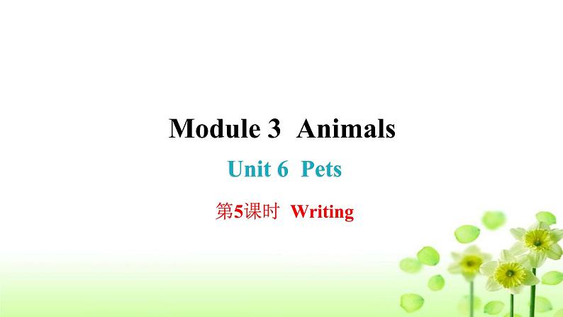 上海教育版英语八年级下册Module 3 Unit 6 第5课时Writing课后作业课件第1页