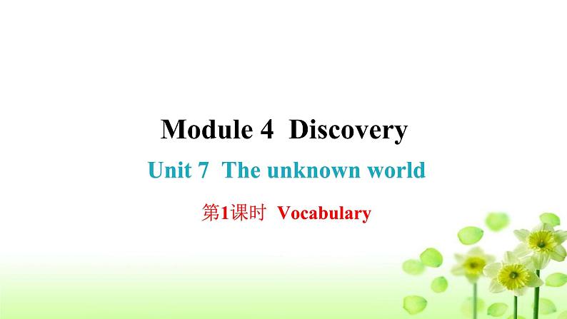 上海教育版英语八年级下册Module 4 Unit 7 第1课时Vocabulary课后作业课件第1页