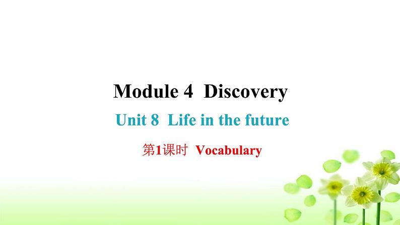 上海教育版英语八年级下册Module 4 Unit 8 第1课时Vocabulary课后作业课件第1页