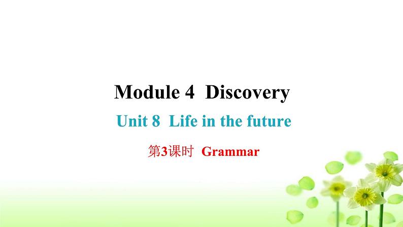 上海教育版英语八年级下册Module 4 Unit 8 第3课时Grammar教学课件第1页