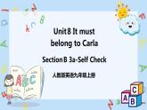 人教新目标 (Go for it) 版英语 Unit8 第5课时 Section B 3a-Self check 课件+音频