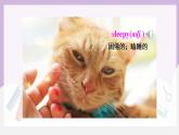 人教新目标 (Go for it) 版英语 Unit8 It must belong to Carla( SectionA 3a-4c)课件+素材