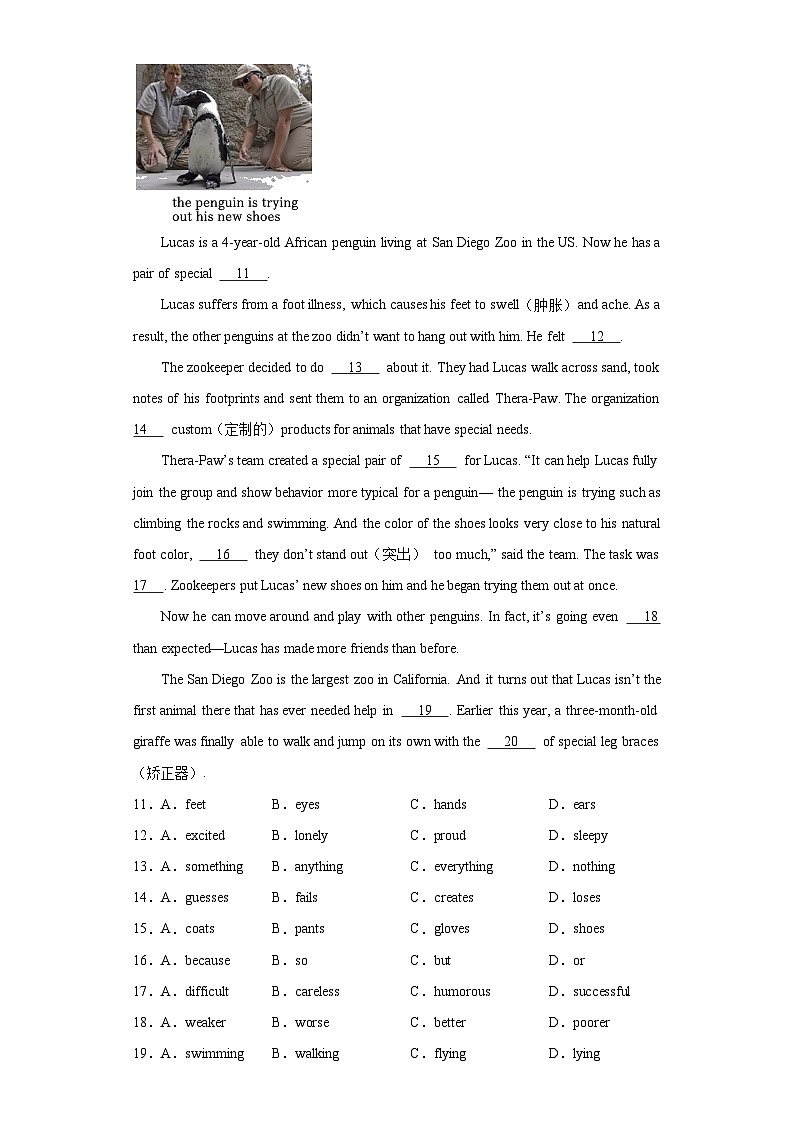 2023年陕西省宝鸡市金台区中考二模英语试题（含解析）02