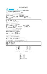 初中英语人教新目标 (Go for it) 版七年级上册Section A精品测试题