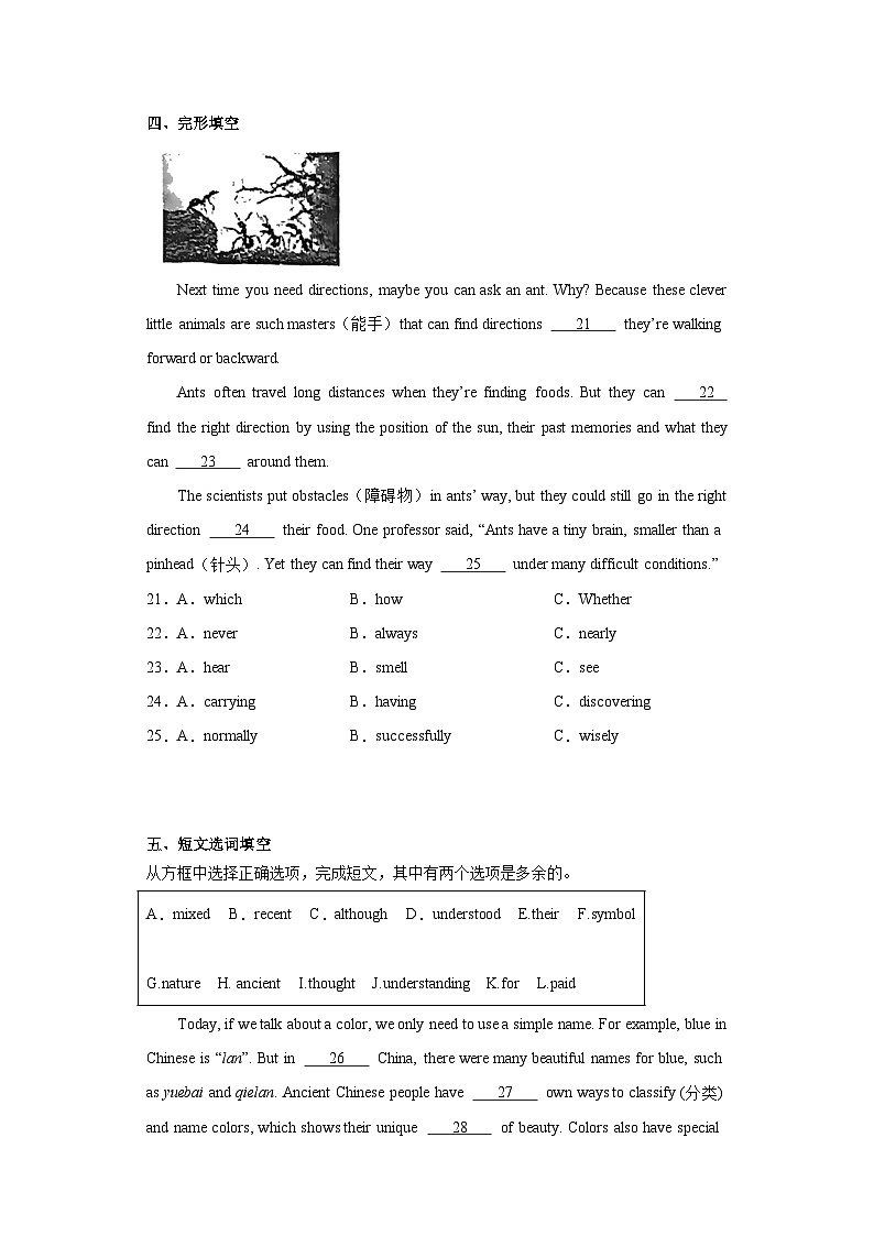 2023年吉林省吉林市永吉县中考一模英语试题（含解析）第3页