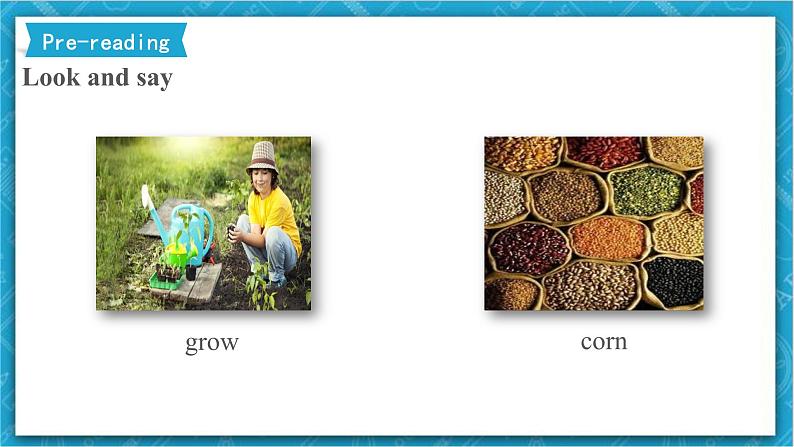 外研新标准英语九年级上册 Module 2 Unit 2 We have celebrated the festival since the first pioneers arrived in America 课件+教案04