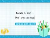 外研新标准英语九年级上册 Module 5 Unit 1 Don’t cross that rope 课件+教案