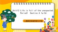 英语九年级全册Section A试讲课课件ppt