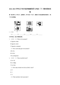 辽宁省大连市高新园区2022-2023学年七年级（下学期）期末英语试卷（含答案）