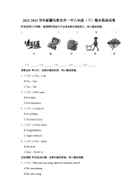 新疆乌鲁木齐一中2022-2023学年八年级下学期期末英语试卷（含答案）