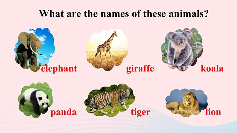 第3课时（B 1a-1d）第3页