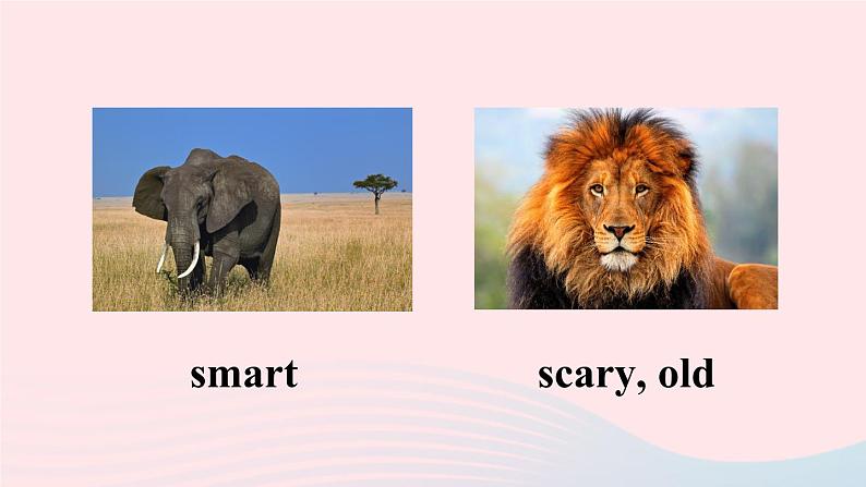 第3课时（B 1a-1d）第5页