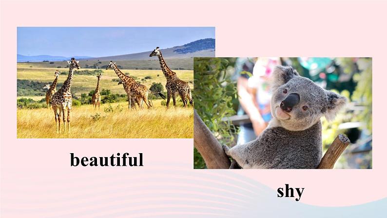 第3课时（B 1a-1d）第6页