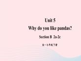 2023七年级英语下册Unit5Whydoyoulikepandas第4课时B2a_2c课件新版人教新目标版